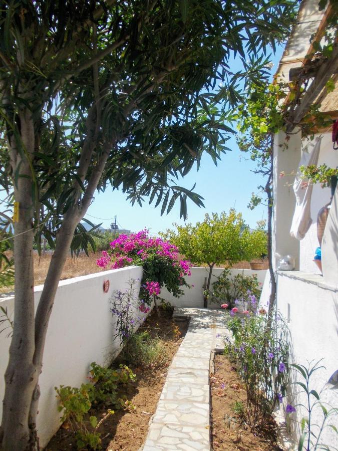 Nyfes Traditional Boutique Faltaina Skyros Bagian luar foto