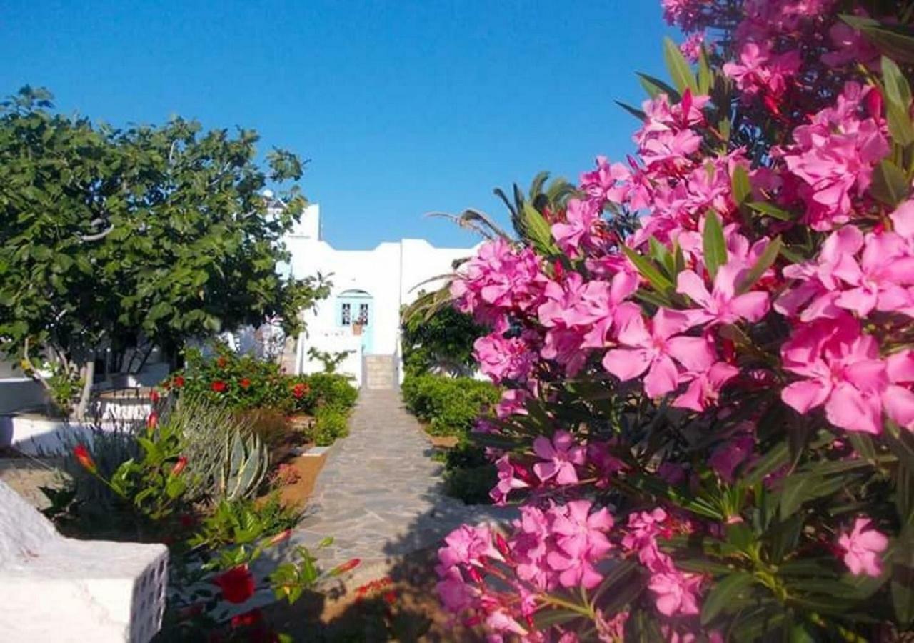 Nyfes Traditional Boutique Faltaina Skyros Bagian luar foto